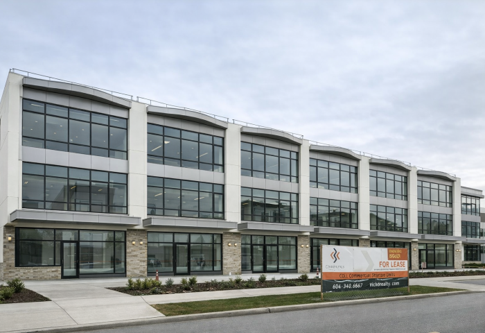 ChatGPT Image Feb 19, 2026, 11_24_51 AM