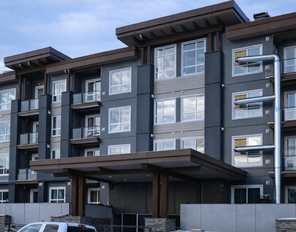 ChatGPT Image Feb 19, 2026, 11_30_14 AM