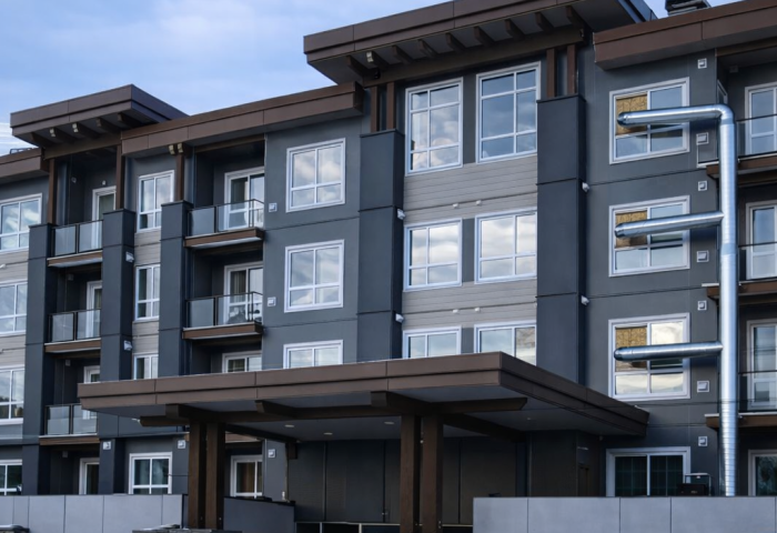 ChatGPT Image Feb 19, 2026, 11_30_14 AM