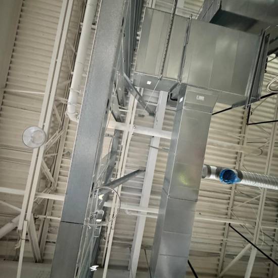 WhatsApp Image 2026-02-24 at 6.42.50 PM (1)